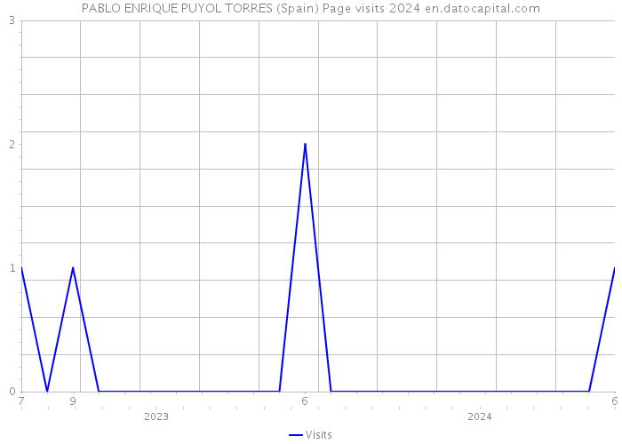 PABLO ENRIQUE PUYOL TORRES (Spain) Page visits 2024 