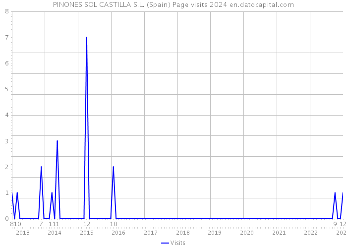 PINONES SOL CASTILLA S.L. (Spain) Page visits 2024 