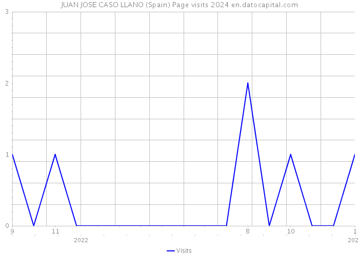 JUAN JOSE CASO LLANO (Spain) Page visits 2024 