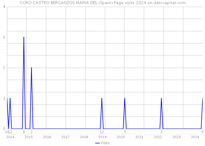 CORO CASTRO BERGANZOS MARIA DEL (Spain) Page visits 2024 