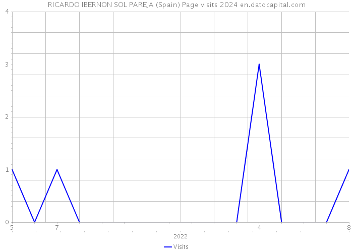 RICARDO IBERNON SOL PAREJA (Spain) Page visits 2024 