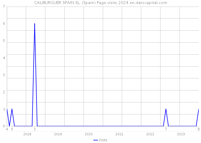CALIBURGUER SPAIN SL. (Spain) Page visits 2024 