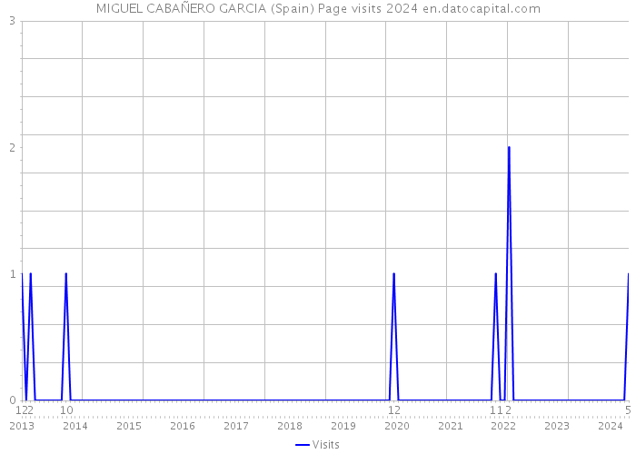 MIGUEL CABAÑERO GARCIA (Spain) Page visits 2024 