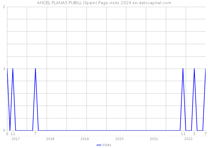 ANGEL PLANAS PUBILL (Spain) Page visits 2024 