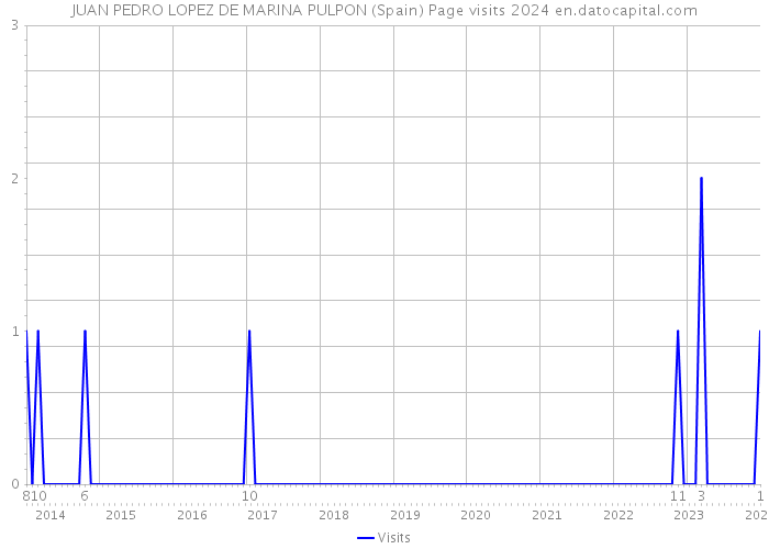 JUAN PEDRO LOPEZ DE MARINA PULPON (Spain) Page visits 2024 