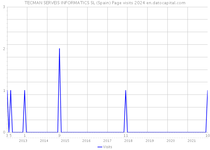 TECMAN SERVEIS INFORMATICS SL (Spain) Page visits 2024 