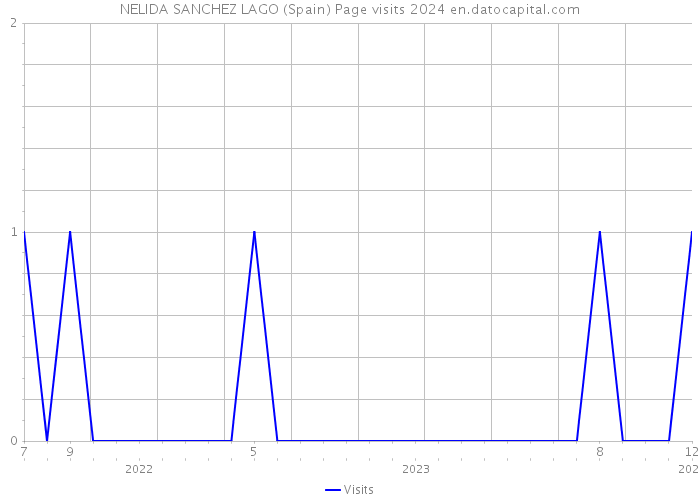 NELIDA SANCHEZ LAGO (Spain) Page visits 2024 