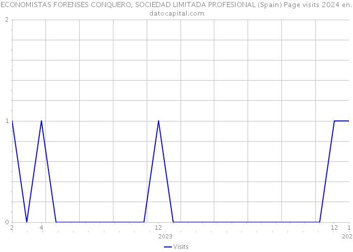 ECONOMISTAS FORENSES CONQUERO, SOCIEDAD LIMITADA PROFESIONAL (Spain) Page visits 2024 