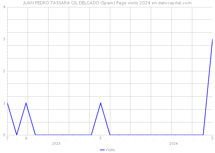 JUAN PEDRO TASSARA GIL DELGADO (Spain) Page visits 2024 