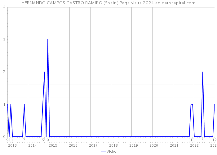 HERNANDO CAMPOS CASTRO RAMIRO (Spain) Page visits 2024 