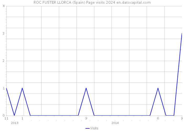 ROC FUSTER LLORCA (Spain) Page visits 2024 