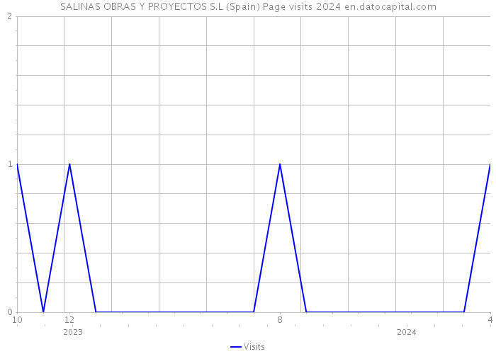 SALINAS OBRAS Y PROYECTOS S.L (Spain) Page visits 2024 