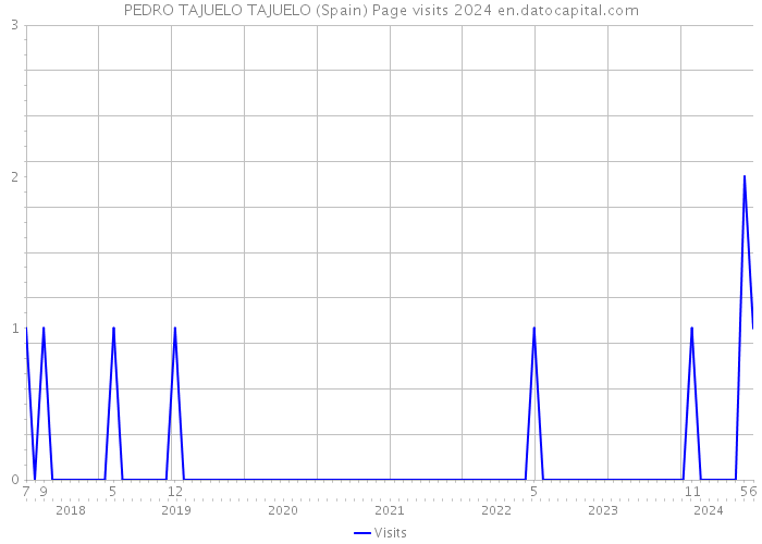 PEDRO TAJUELO TAJUELO (Spain) Page visits 2024 