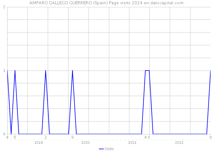 AMPARO GALLEGO GUERRERO (Spain) Page visits 2024 
