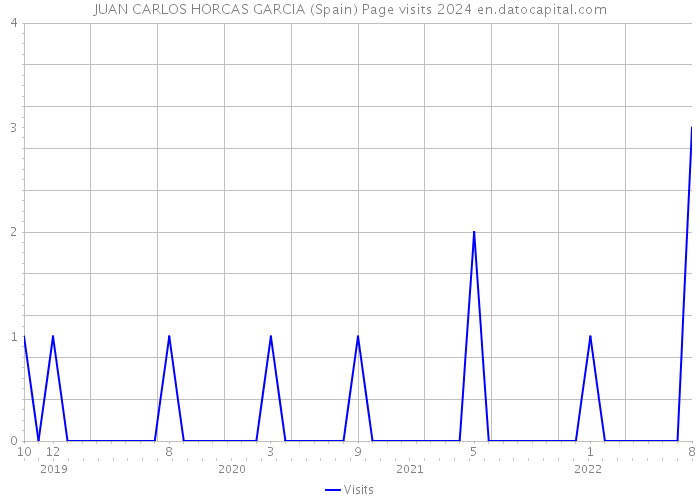JUAN CARLOS HORCAS GARCIA (Spain) Page visits 2024 