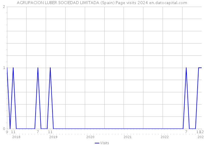 AGRUPACION LUBER SOCIEDAD LIMITADA (Spain) Page visits 2024 