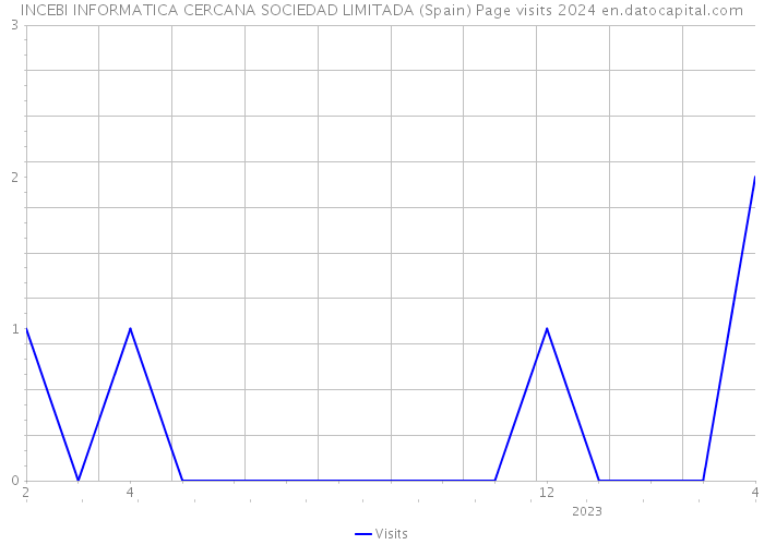 INCEBI INFORMATICA CERCANA SOCIEDAD LIMITADA (Spain) Page visits 2024 