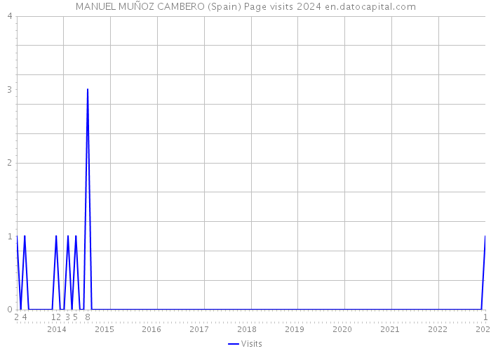 MANUEL MUÑOZ CAMBERO (Spain) Page visits 2024 