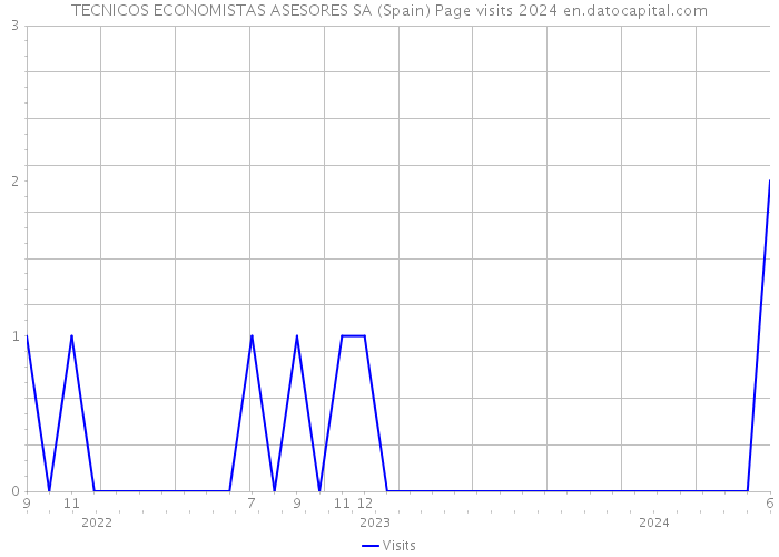 TECNICOS ECONOMISTAS ASESORES SA (Spain) Page visits 2024 