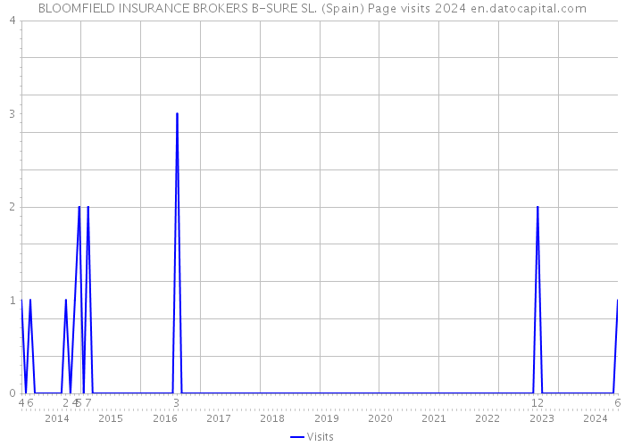 BLOOMFIELD INSURANCE BROKERS B-SURE SL. (Spain) Page visits 2024 