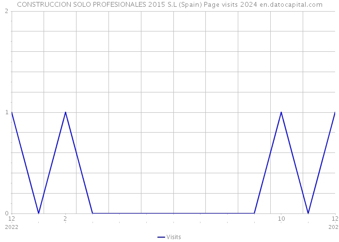CONSTRUCCION SOLO PROFESIONALES 2015 S.L (Spain) Page visits 2024 