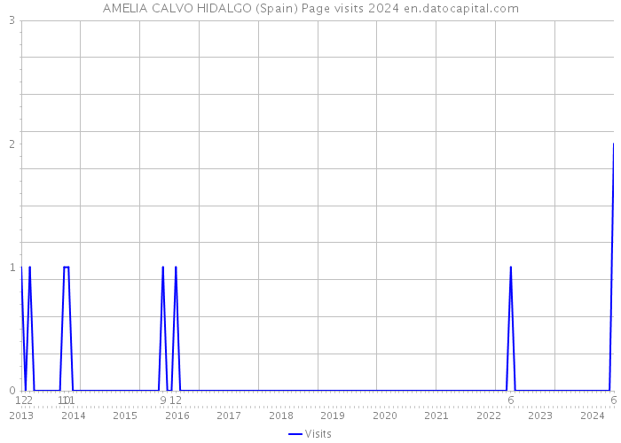 AMELIA CALVO HIDALGO (Spain) Page visits 2024 