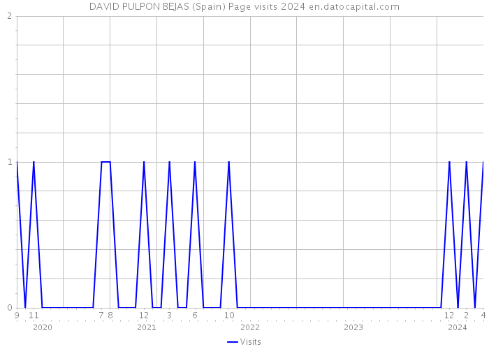 DAVID PULPON BEJAS (Spain) Page visits 2024 