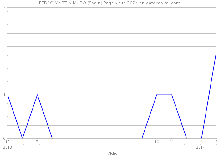 PEDRO MARTIN MURO (Spain) Page visits 2024 