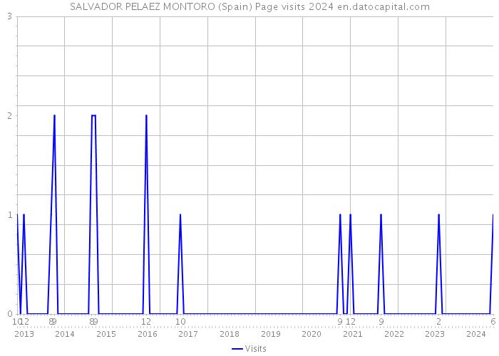 SALVADOR PELAEZ MONTORO (Spain) Page visits 2024 