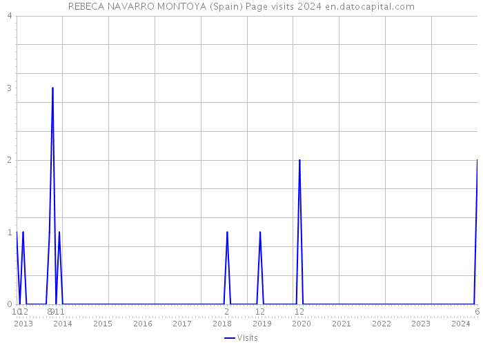 REBECA NAVARRO MONTOYA (Spain) Page visits 2024 