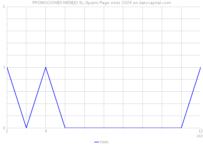 PROMOCIONES MESEJO SL (Spain) Page visits 2024 