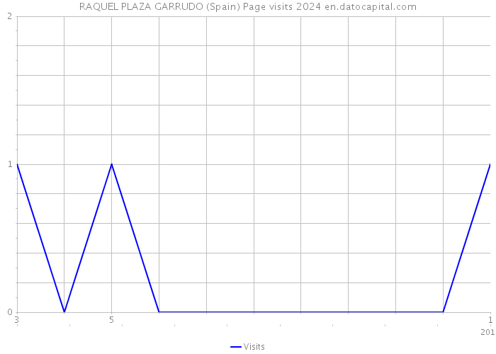 RAQUEL PLAZA GARRUDO (Spain) Page visits 2024 