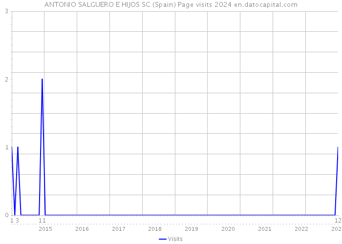ANTONIO SALGUERO E HIJOS SC (Spain) Page visits 2024 