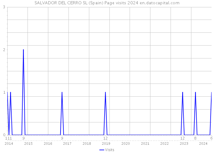 SALVADOR DEL CERRO SL (Spain) Page visits 2024 