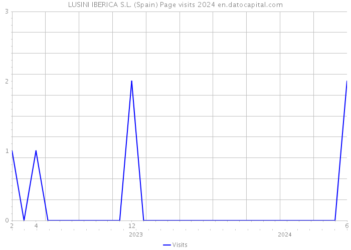 LUSINI IBERICA S.L. (Spain) Page visits 2024 