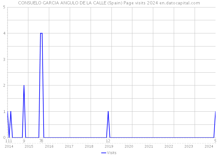 CONSUELO GARCIA ANGULO DE LA CALLE (Spain) Page visits 2024 