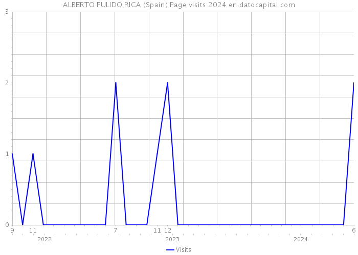 ALBERTO PULIDO RICA (Spain) Page visits 2024 