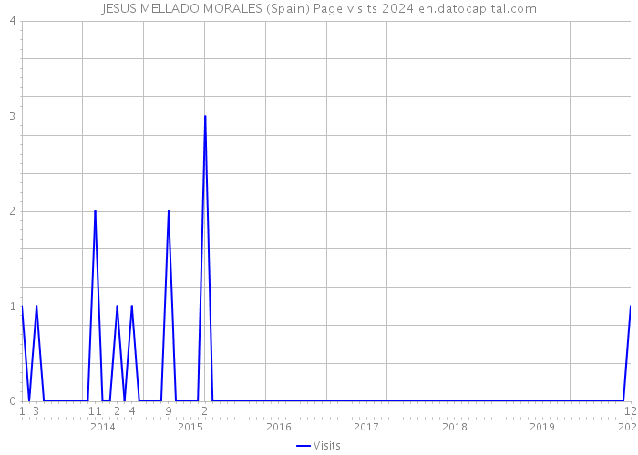 JESUS MELLADO MORALES (Spain) Page visits 2024 