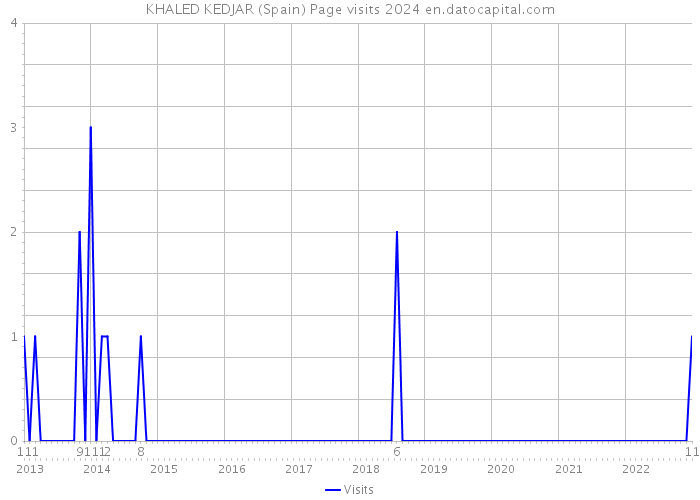 KHALED KEDJAR (Spain) Page visits 2024 