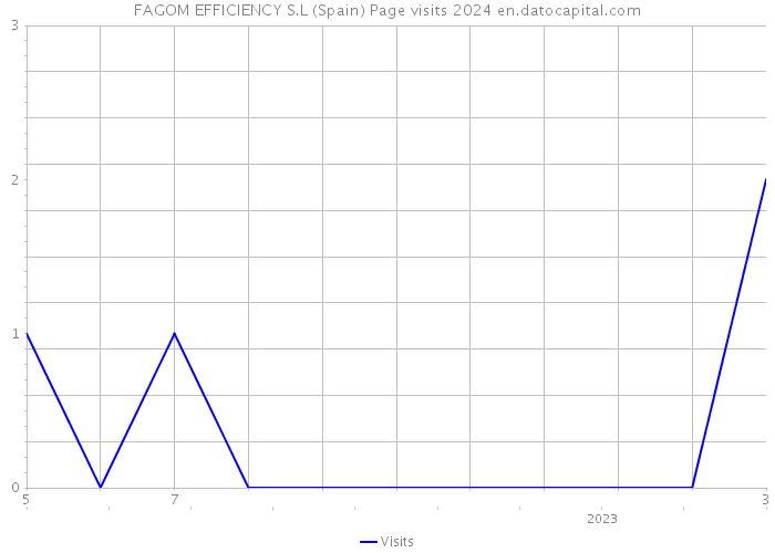 FAGOM EFFICIENCY S.L (Spain) Page visits 2024 