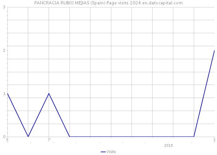 PANCRACIA RUBIO MEJIAS (Spain) Page visits 2024 