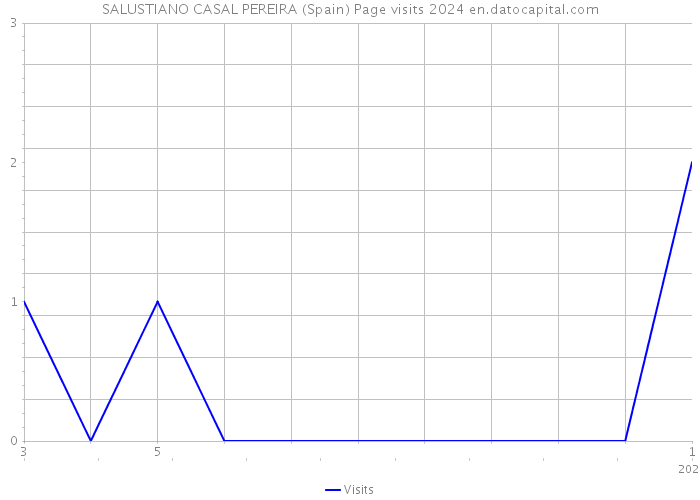 SALUSTIANO CASAL PEREIRA (Spain) Page visits 2024 