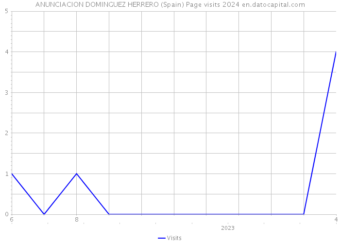 ANUNCIACION DOMINGUEZ HERRERO (Spain) Page visits 2024 