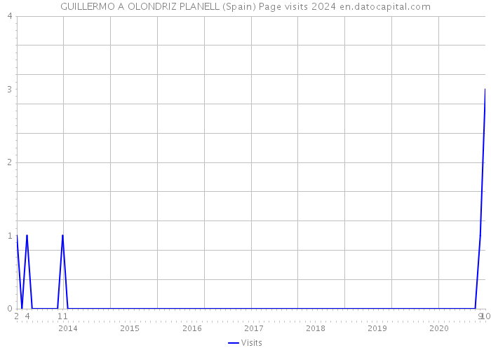 GUILLERMO A OLONDRIZ PLANELL (Spain) Page visits 2024 