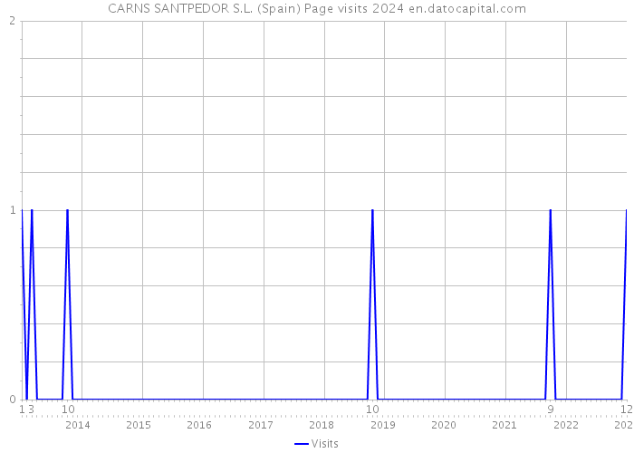 CARNS SANTPEDOR S.L. (Spain) Page visits 2024 