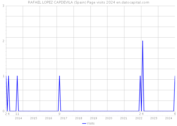 RAFAEL LOPEZ CAPDEVILA (Spain) Page visits 2024 