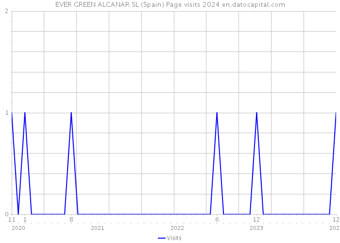 EVER GREEN ALCANAR SL (Spain) Page visits 2024 