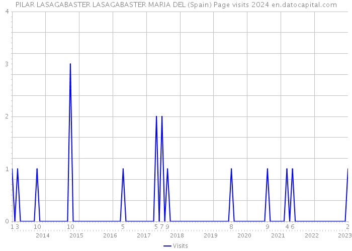 PILAR LASAGABASTER LASAGABASTER MARIA DEL (Spain) Page visits 2024 