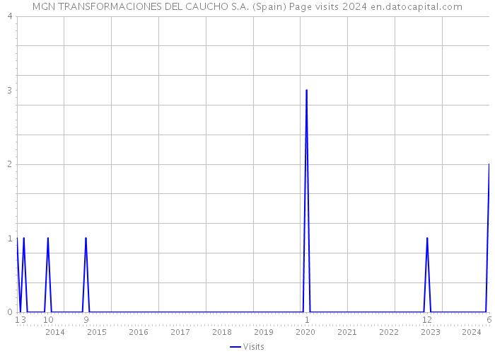 MGN TRANSFORMACIONES DEL CAUCHO S.A. (Spain) Page visits 2024 