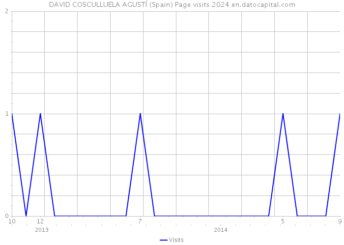 DAVID COSCULLUELA AGUSTÍ (Spain) Page visits 2024 